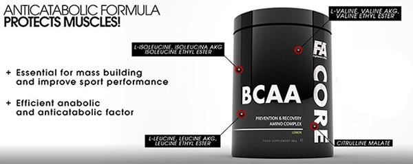 Bcaa Core 350 gr Fitness Authority