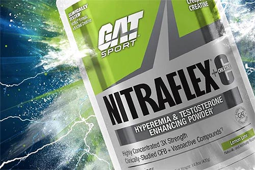 Nitraflex + Creatine USA 420 gr GAT