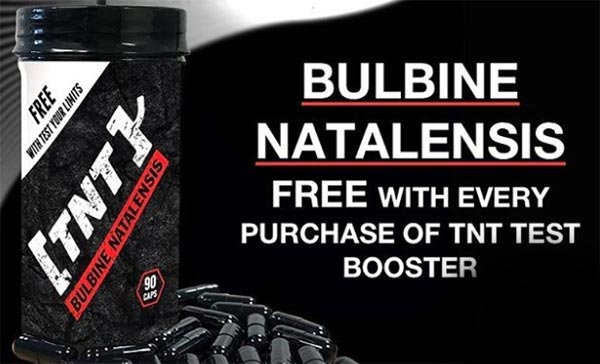 Bulbine Natalensis 90 cps TNT Supplements