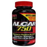 Alcar 100 cps San Nutrition