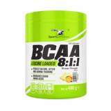 Bcaa 8:1:1 Leucine Loaded 400 gr Sport Definition