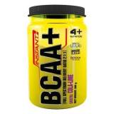 Istant Bcaa+ 300gr 4+ Nutrition