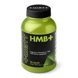 HMB+ 500 mg 90 cps +WATT