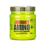 Endurance Amino+ 300 gr 4+ Nutrition