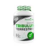 Tribulus Terrestris 1000 90 cps 6PAK Nutrition