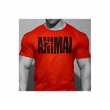 Animal Iconic T-Shirt Rossa