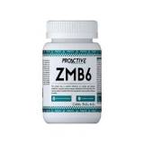 ProActive ZMB6 90Tab