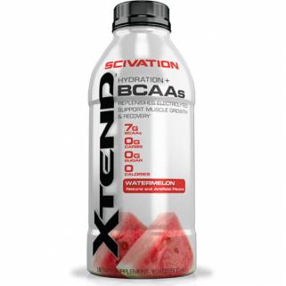 Xtend RTD 500ml Scivation