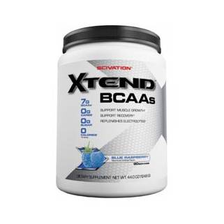 Xtend 390gr Scivation