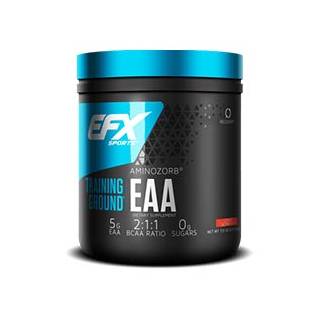 Training Ground EAA 123 gr EFX