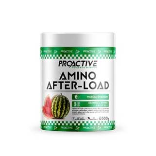 Amino After Load 500gr ProActive