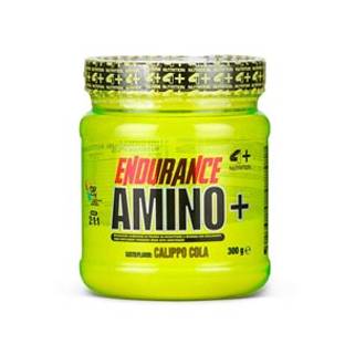 Endurance Amino+ 300 gr 4+ Nutrition