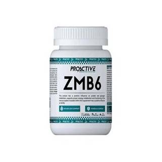 ProActive ZMB6 90Tab