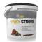 Whey Strong 4,54 Kg Nutrition Labs